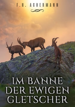 Im Banne der ewigen Gletscher - Roman