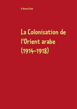 La Colonisation de l'Orient arabe (1914-1918) - Des Accords Sykes-Picot à la Déclaration Balfour