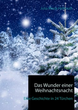 Das Wunder einer Weihnachtsnacht - Eine Geschichte in 24 Türchen