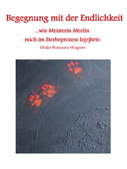 Begegnung mit der Endlichkeit - ...wie Meisterin Merlin mich im Sterbeprozess le(e)hrte