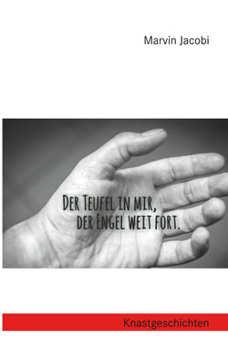 Der Teufel in mir, der Engel weit fort - Knastgeschichten