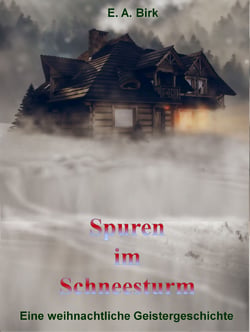 Spuren im Schneesturm - Eine weihnachtliche Geistergeschichte