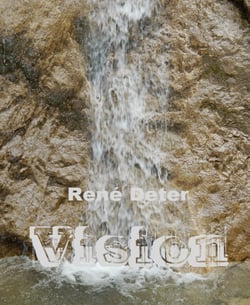 Vision