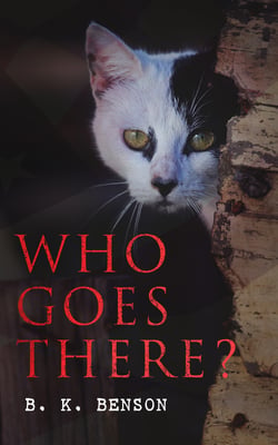 Who Goes There? - The Story of a Spy in the Civil War