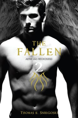 The Fallen 2 - Aerie and Reckoning