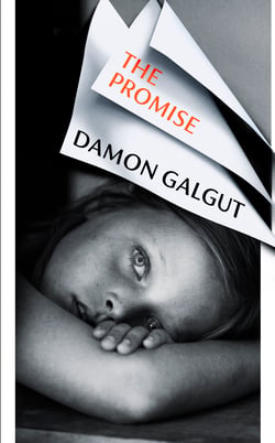 The Promise - WINNER OF THE BOOKER PRIZE