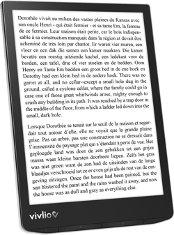 Liseuse Vivlio Inkpad 4 - noir - 7,8 pouces