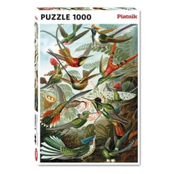 Puzzle 1000 pièces - Les colibris de Haeckel