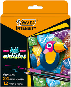 Coffret de dessin Bic - Kit Artistes - 24 crayons de couleur + 12 feutres