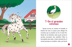 Jade et les chevaux Tome 2 : Frayeur au haras