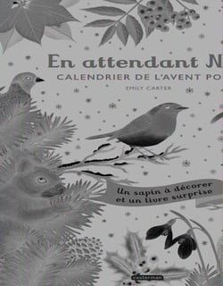 En attendant Noël : calendrier de l'avent pop-up