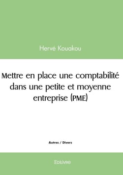 Mettre en place une comptabilité dans une petite et moyenne entreprise (PME)