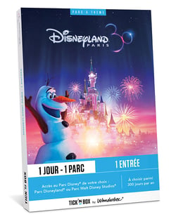 Coffret cadeau Tick'nBox - Disneyland Paris 1 jour / 1 parc - 1 adulte