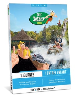Coffret cadeau Tick'nBox - Parc Astérix - 1 enfant 