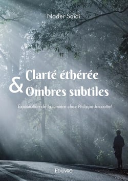 Clarté éthérée & ombres subtiles : Exploration de la lumière chez Philippe Jaccottet