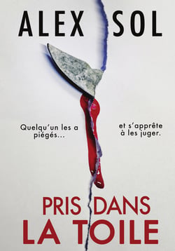 Pris dans la toile
