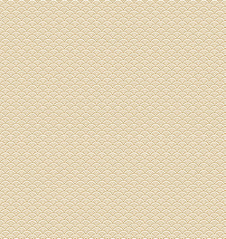 Papier cadeau Opaline - 2 x 0,70 m