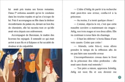 Le maître des licornes Tome 10 : L'attaque du ciel