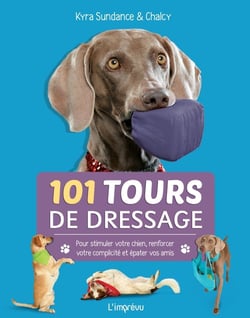 101 tours de dressage - pour stimuler votre chien, renforcer votre complicité et épater vos amis