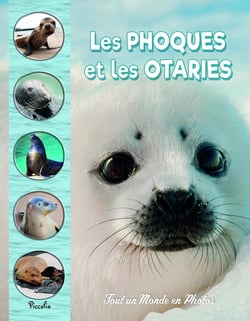 Tout un monde en photos : Les phoques et les otaries