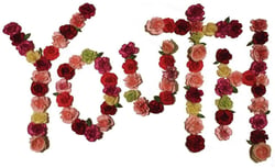 Youth - CD