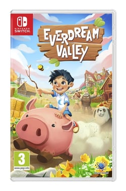 Everdream Valley - Switch