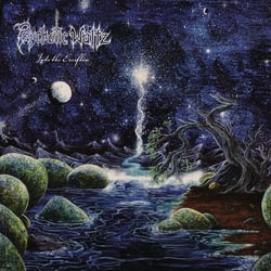Into The Everflow (Re-issue 2024) - CD