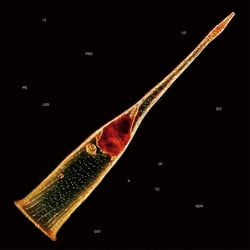 Melodies Of Atonement - CD