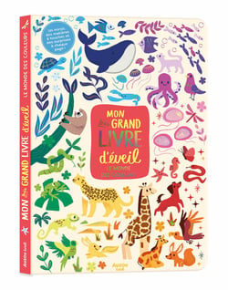Mon très grand livre d'éveil : Le monde des couleurs