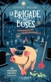 La Brigade des buses Tome 2 : L'Emmerdeuse professionnelle