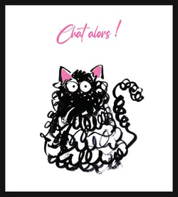 Cartes doubles Pictura - Gribouille