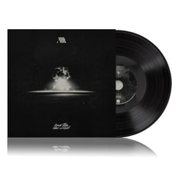 From The New World - Vinyle