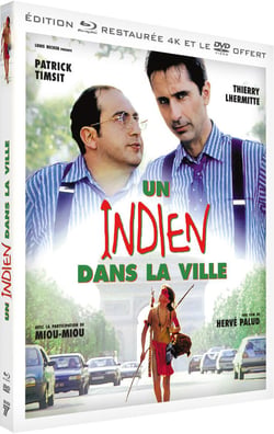 Un Indien dans la ville