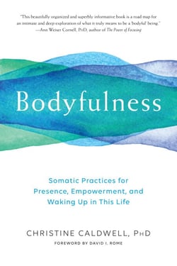 Bodyfulness - Somatic Practices for Presence, Empowerment, and Waking Up in This Life