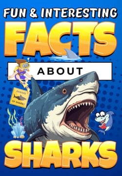Fun &amp; Interesting Facts About Sharks