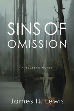 Sins of Omission: Racism, politics, conspiracy, and justice in Florida - Rudberg Novel, #1