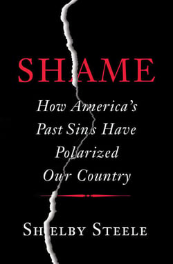 Shame - How America's Past Sins Have Polarized Our Country