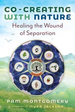 Co-Creating with Nature - Healing the Wound of Separation