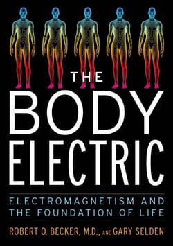 The Body Electric - Electromagnetism and the Foundation of Life