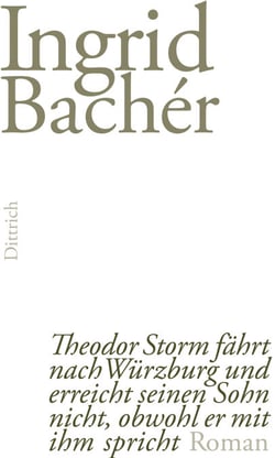 Theodor Storm fährt nach Würzburg und erreicht seinen Sohn nicht, obwohl er mit ihm spricht - Roman