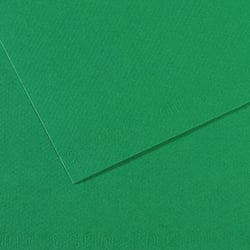 Feuille MI-TEINTES® Canson - 50 x 65 cm - 160g/m² - vert billard