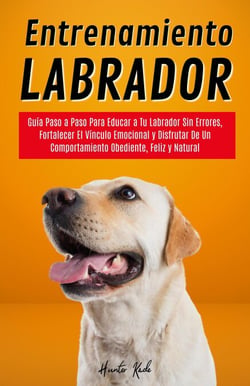 Entrenamiento Labrador: Guía Paso a Paso Para Educar a Tu Labrador Sin Errores, Fortalecer El Vínculo Emocional y Disfrutar De Un Comportamiento Obediente, Feliz y Natural