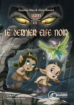 Liann et le dernier elfe noir - Roman jeunesse