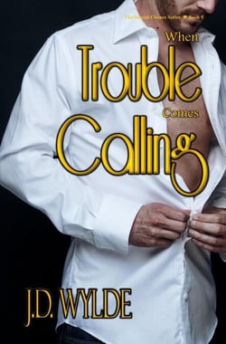 When Trouble Comes Calling - Second Chance at Love, #5