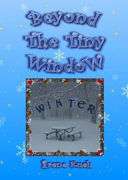 Beyond The Tiny Window: Winter