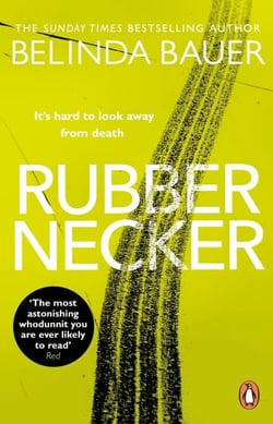 Rubbernecker - The astonishing crime novel from the Sunday Times bestselling author