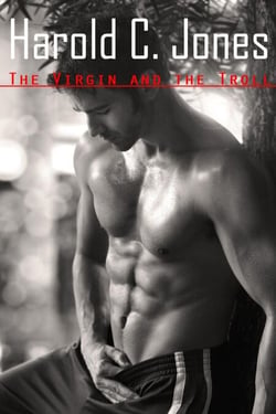 The Virgin and the Troll - The Virgin and the Troll, #1