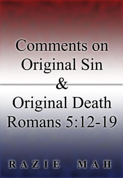 Comments on Original Sin and Original Death: Romans 5:12-19 - Crystallizations of the Fall, #2