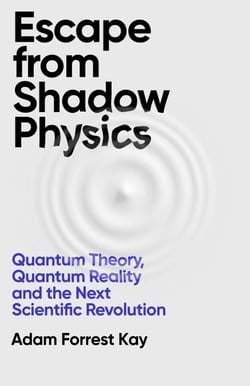 Escape From Shadow Physics - Quantum Theory, Quantum Reality and the Next Scientific Revolution
