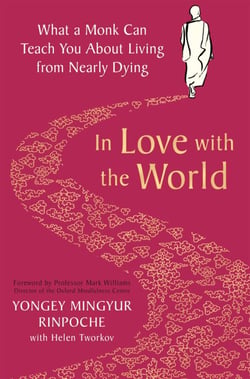 In Love with the World - What a Buddhist Monk Can Teach You About Living from Nearly Dying